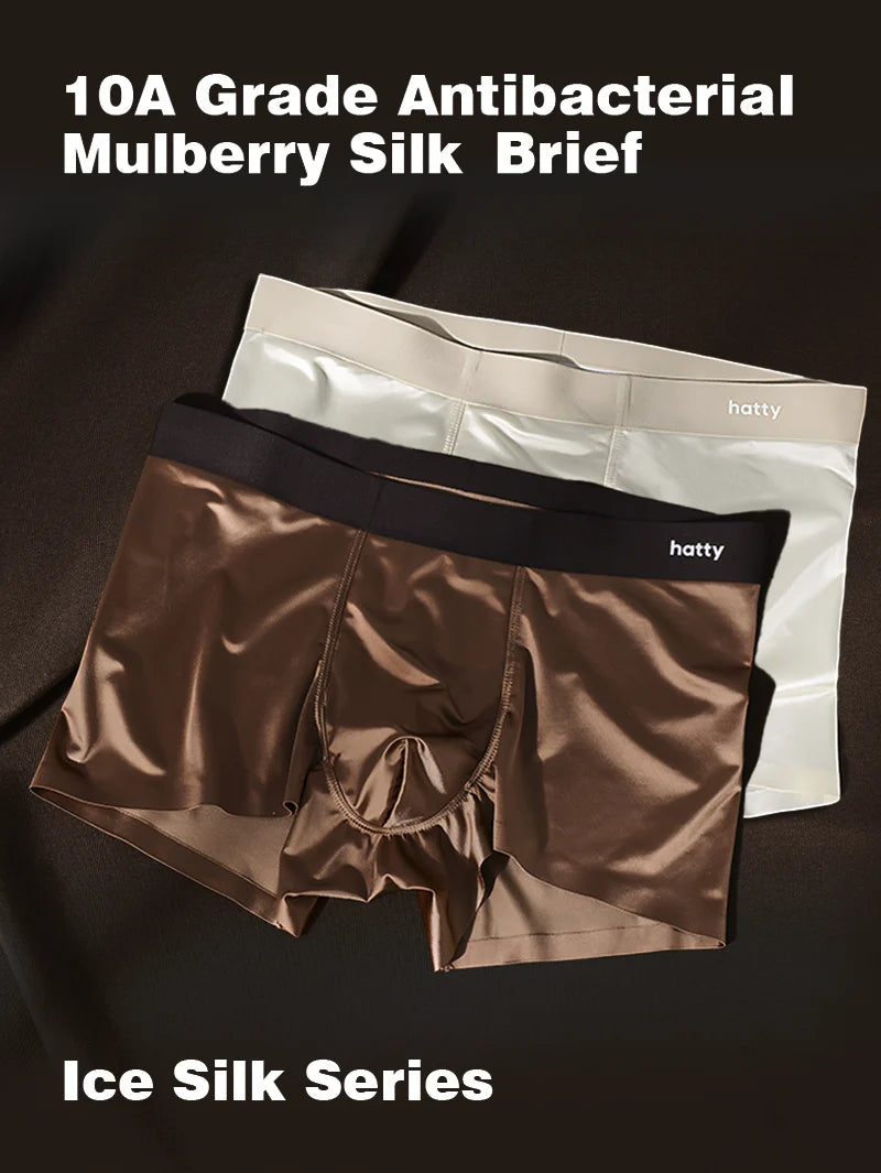 High Quality-Men's Elegant Ice Silk Underwear,Mulberry Silk Antimicrobial Boxer Briefs