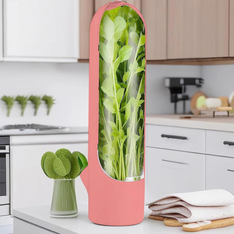 Herb Freshness Keeper Box, Vegetable Freshness Storage Container, Cilantro & Herb Preservation Box