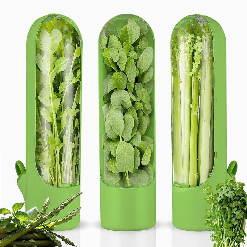 Herb Freshness Keeper Box, Vegetable Freshness Storage Container, Cilantro & Herb Preservation Box