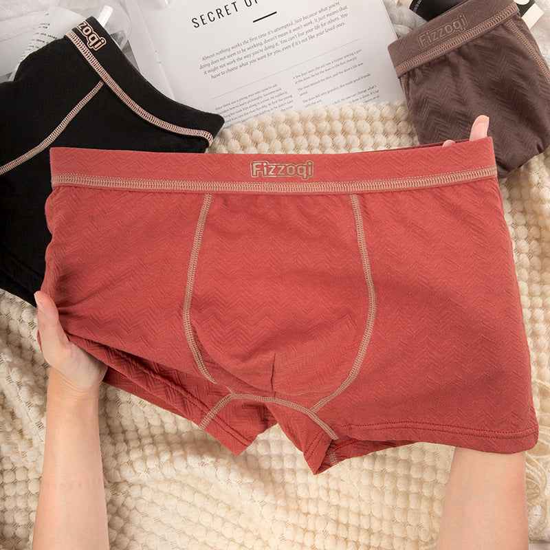 Men's Premium Morandi Color Boxer Briefs