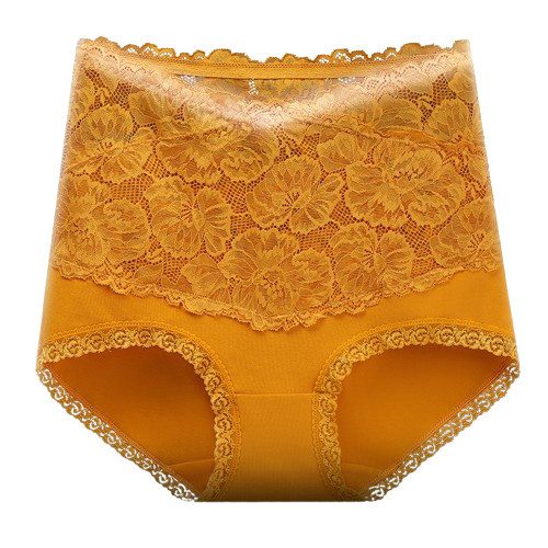 Pure cotton high-waist sexy lace women’s briefs
