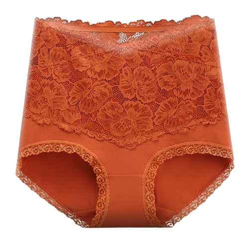 Pure cotton high-waist sexy lace women’s briefs