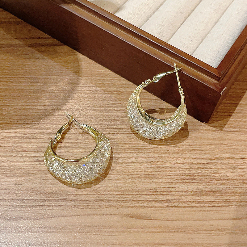 Sparkling Mesh Zircon Stud Earrings
