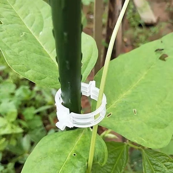 [100 PCS/200 PCS]Plant Support Clips