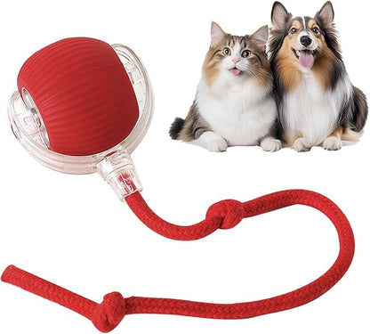 Interactive pet toy ball