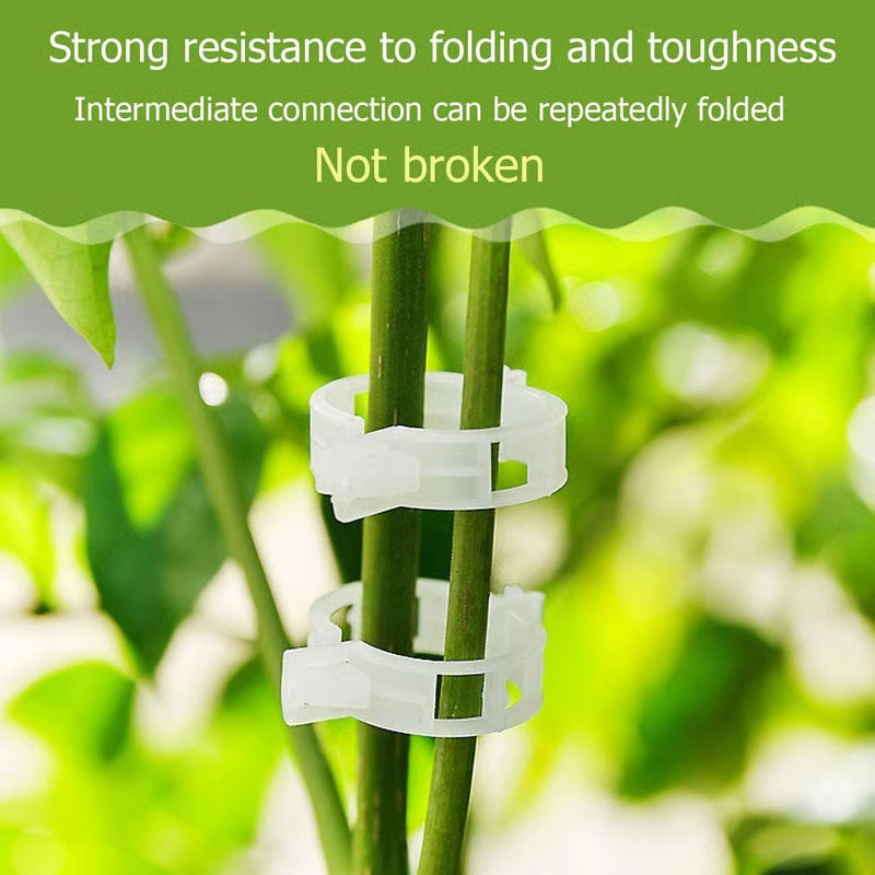 [100 PCS/200 PCS]Plant Support Clips