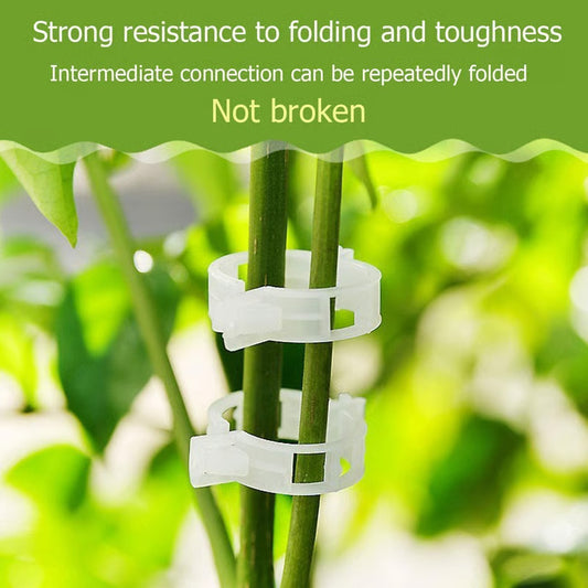 [100 PCS/200 PCS]Plant Support Clips