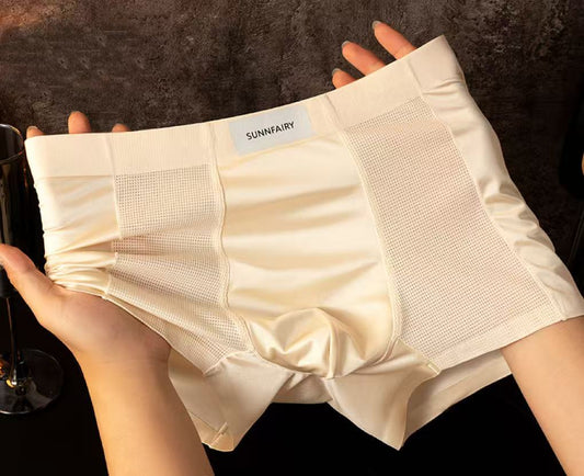 Men's Mesh Satin Briefs