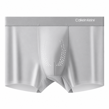 Caikein Keinri Men’s 10A Antibacterial Ice Silk Boxer Briefs