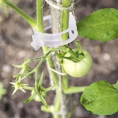 [100 PCS/200 PCS]Plant Support Clips