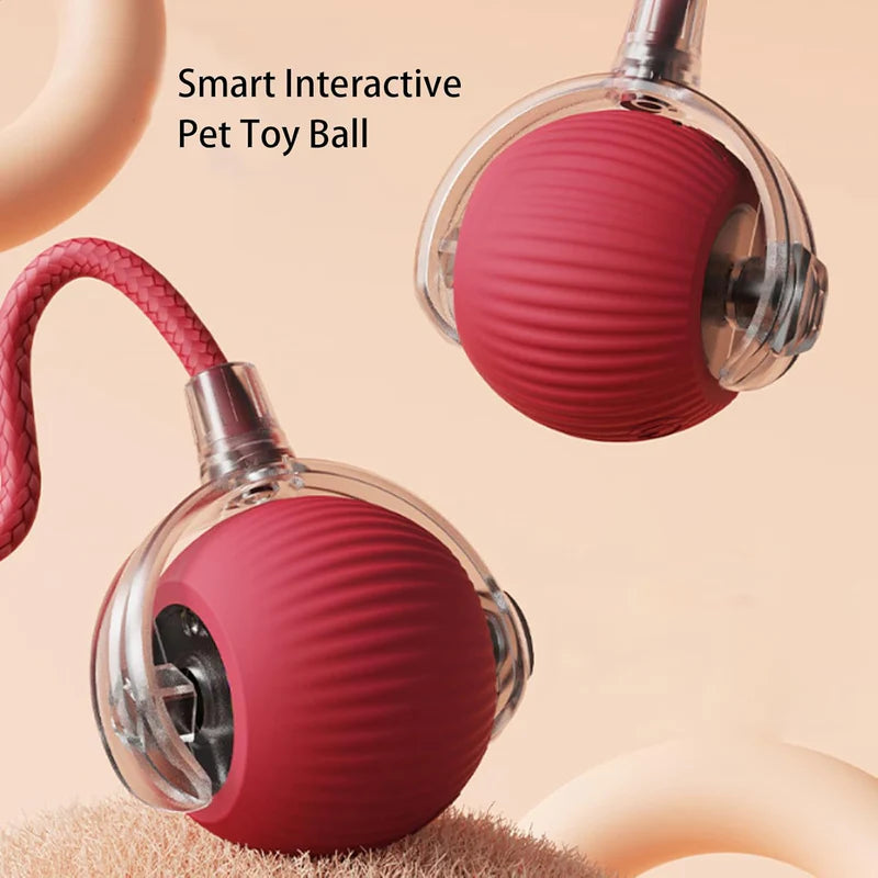 Interactive pet toy ball