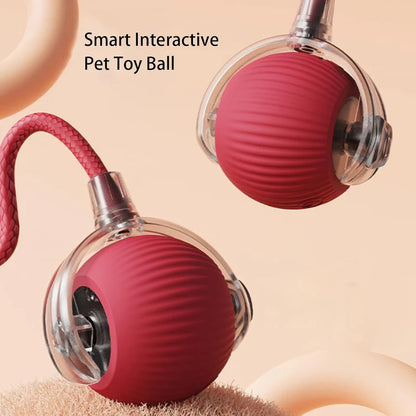 Interactive pet toy ball