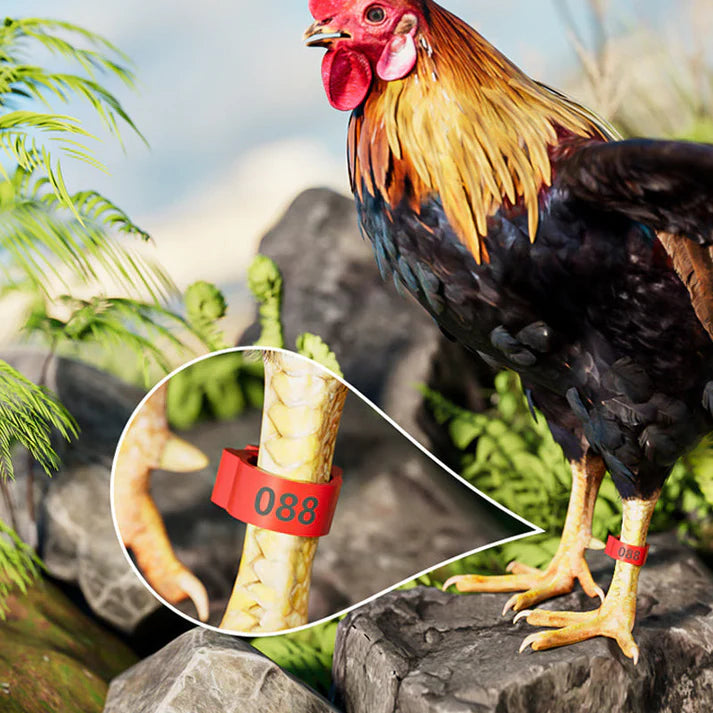 [1-100 Numbers]Adjustable Snap-On Poultry Leg Bands