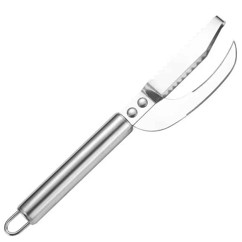 Stainless Steel Fish Scale Planer
