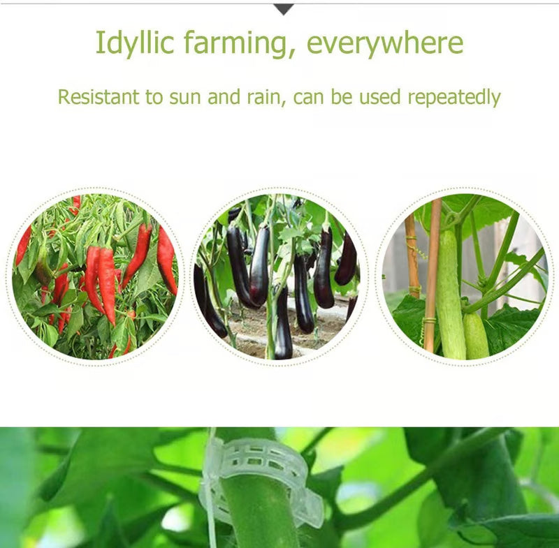 [100 PCS/200 PCS]Plant Support Clips