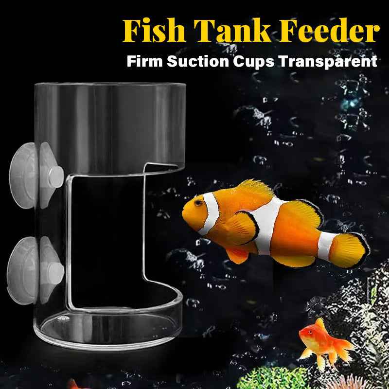 Self-Suspending Aquarium Feeder