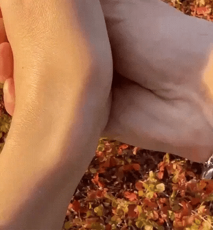 Magnetic Love Chain Bracelet Set