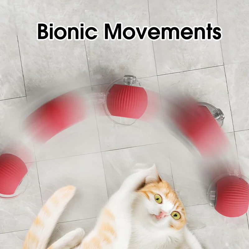 Interactive pet toy ball
