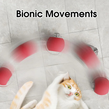 Interactive pet toy ball