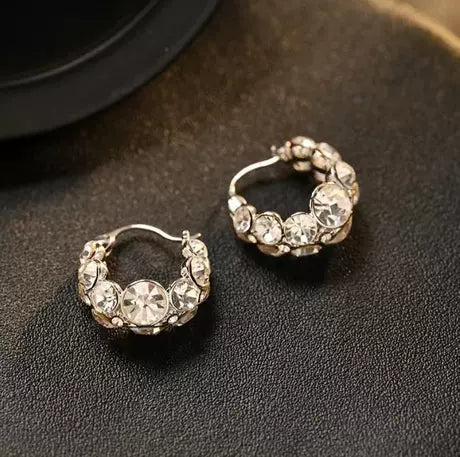 Stylish Rhinestone Earrings