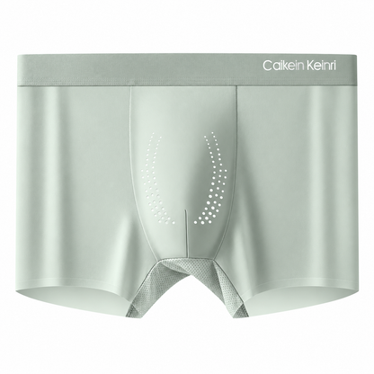 Caikein Keinri Men’s 10A Antibacterial Ice Silk Boxer Briefs
