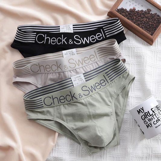 2pcs/3pcs Men's Antibacterial Cotton Sporty Wide-Band Briefs