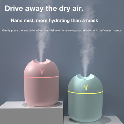 New Mini Silent Humidifier, Lucky Clover USB Desktop Spray Humidifier