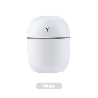 New Mini Silent Humidifier, Lucky Clover USB Desktop Spray Humidifier