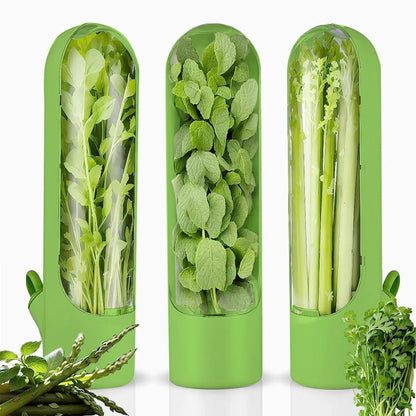 Herb Freshness Keeper Box, Vegetable Freshness Storage Container, Cilantro & Herb Preservation Box