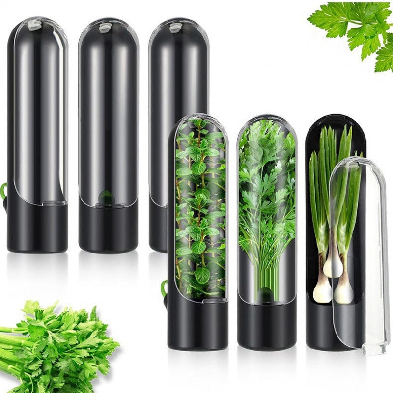 Herb Freshness Keeper Box, Vegetable Freshness Storage Container, Cilantro & Herb Preservation Box