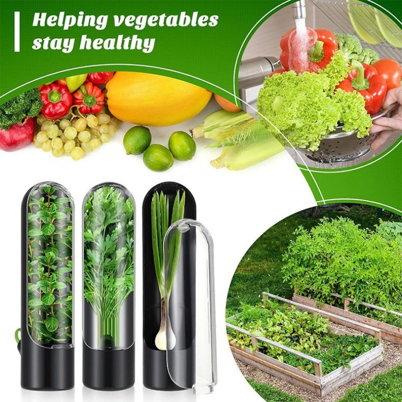 Herb Freshness Keeper Box, Vegetable Freshness Storage Container, Cilantro & Herb Preservation Box