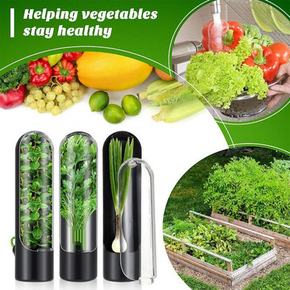 Herb Freshness Keeper Box, Vegetable Freshness Storage Container, Cilantro & Herb Preservation Box
