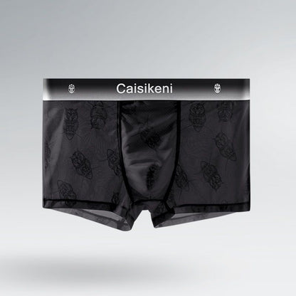Men's Ice Silk Mesh Transparent Underwear