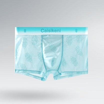 Men's Ice Silk Mesh Transparent Underwear
