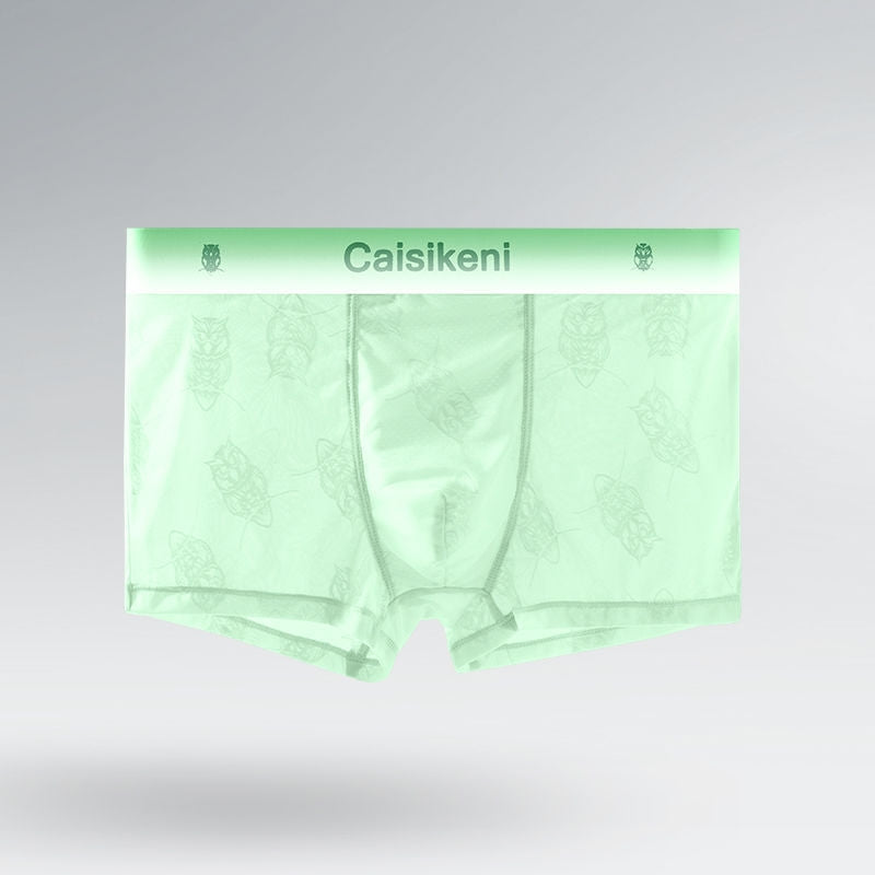 Men's Ice Silk Mesh Transparent Underwear
