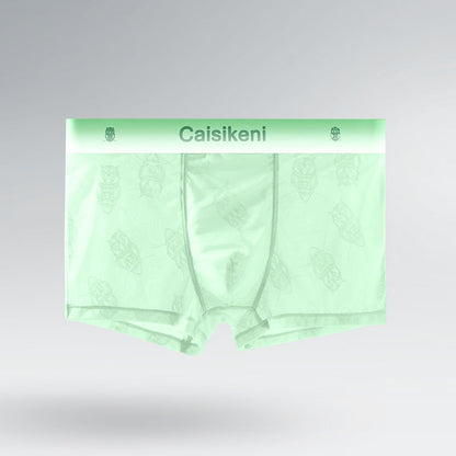 Men's Ice Silk Mesh Transparent Underwear