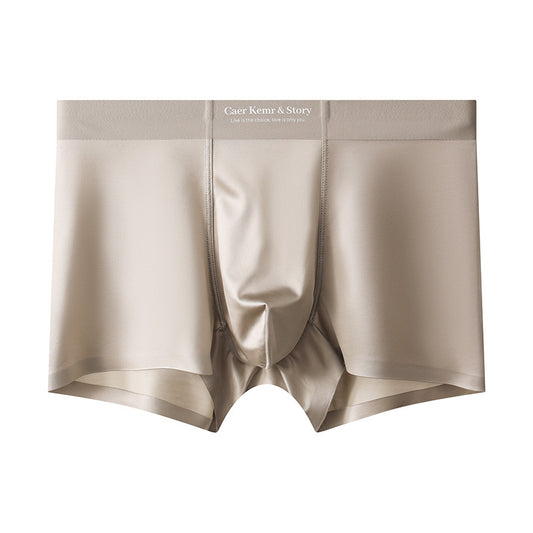 High Quality-Men's Elegant Ice Silk Underwear，Mulberry Silk Antimicrobial Boxer Briefs