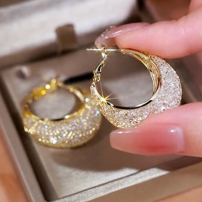 Sparkling Mesh Zircon Stud Earrings
