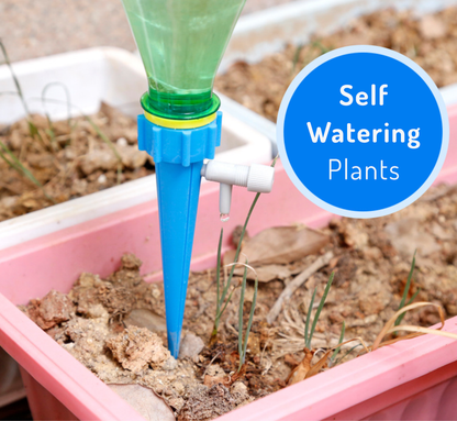 Automatic Plant Water Dripping Spikes