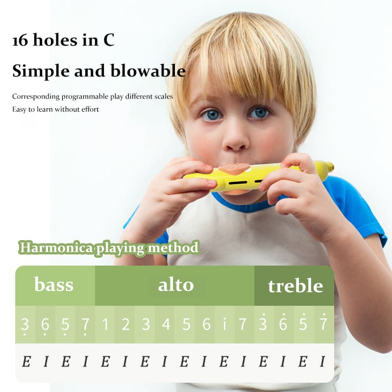 Children's Harmonica Beginner Musical Toy