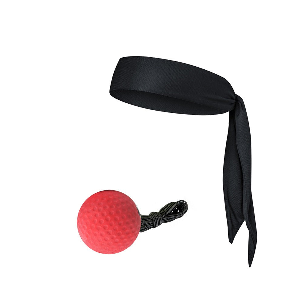 Boxing Reflex Ball