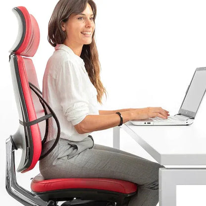 Universal Back Support Mesh for Cars and Chairs